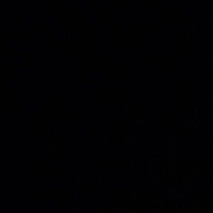 Meet your Posher, Nico